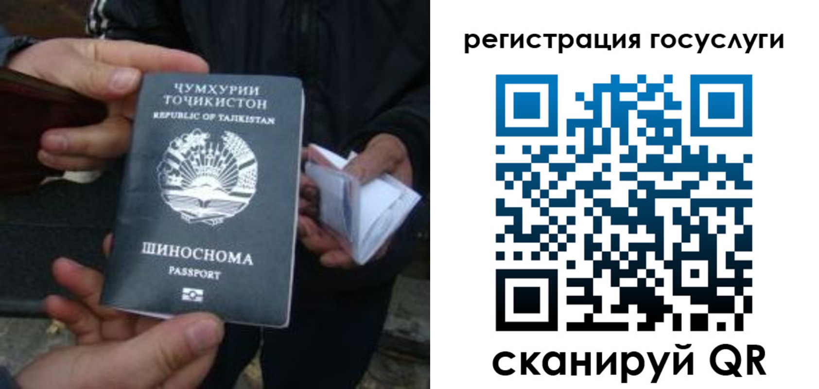 прописка регистрация в Волгоградской области